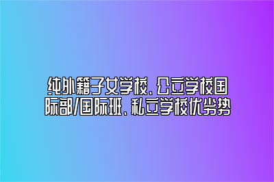 纯外籍子女学校、公立学校国际部/国际班、私立学校优劣势