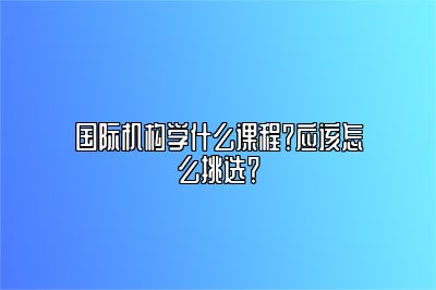 国际机构学什么课程？应该怎么挑选？