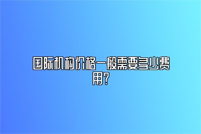 国际机构价格一般需要多少费用？