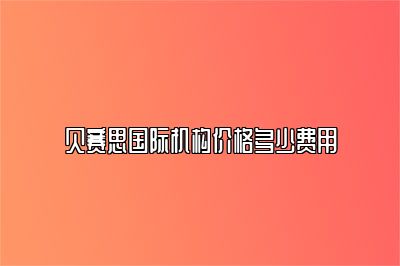 贝赛思国际机构价格多少费用