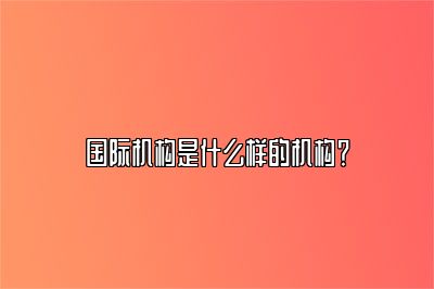 国际机构是什么样的机构？