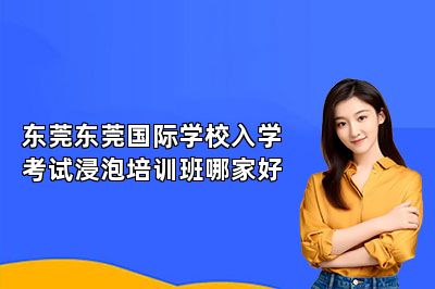 东莞东莞国际学校入学考试浸泡培训班哪家好 