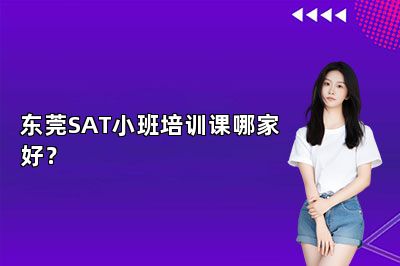 东莞SAT小班培训课哪家好？